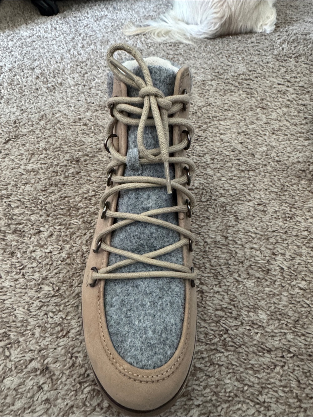 Sorel Women's Tan and Gray Lace-Up Winter Boot - Picture 2 of 5
